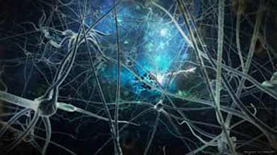 A Case for Changing Neuro Pathways for Better Relationships