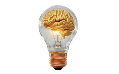 Why Insight Alone Doesn’t Heal Narcissistic Abuse — Even for the Most Self-Aware Clients